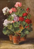 Ghivece cu mușcate by Elena Müller-Stăncescu, ulei pe carton, sold Jan 2021