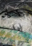 Vasile Tolan, Portret ascuns, pastel și tempera pe hârtie