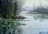 Nicolae Perțache, Nuferi, ulei pe carton