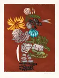 Jacques Hérold, Fleurs, cromolitografie