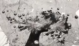 Jules Perahim, Ultimul pas spre Nirvana