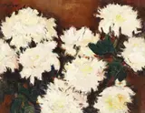 Nicolae Tonitza, Crizanteme albe