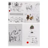 Saul Steinberg, Derrière le Miroir