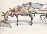 Rudolf Schweitzer–Cumpăna, Măgăruși