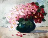 Eugenia Filotti Atanasiu, Garofițe roz