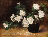 Eugenia Filotti Atanasiu, Flori de măr