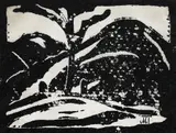 János Mattis-Teutsch, Copac