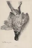 Fazan by Theodor Aman, acvaforte și gravură cu acul, sold Jun 2020
