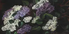 Liliac by Octav Băncilă, ulei pe pânză, sold Jun 2020
