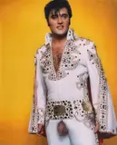 Andres Serrano, The Interpretation of Dreams (The King is Back - Long Live the King)