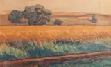 Rodica Maniu, Lan de grâu