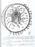 Ștefan Câlția, Ochii demiurgului, 2001, tuș pe hârtie