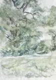 Paul Gherasim, Stejar
