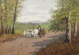 Ion Doboşariu, Car cu boi