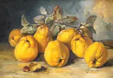 Elena Müller-Stăncescu, Natură statică cu gutui