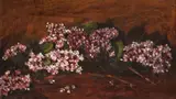 Flori de liliac by Octav Băncilă, ulei pe pânză, sold Mar 2020