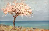 Kimon Loghi, Cireș înflorit
