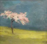 Kimon Loghi, Cireș japonez