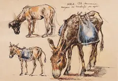 Studiu pentru măgăruși by Sever Frențiu, 1980, creioane colorate și tuș pe hârtie lipită pe carton, sold Feb 2020