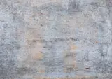 Roman Cotosman, Simfonia albastră