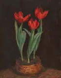 Hrandt Avachian, Răsad cu lalele, 1943, ulei pe pânză lipită pe placaj