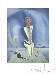 Salvador Dalí, Mâna și aparatul, cromolitografie
