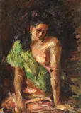 Rudolf Schweitzer–Cumpăna, Șalul verde