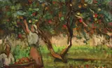 Paul Verona, Culesul merelor, 1954, ulei pe carton