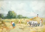 Constion, Strânsul fânului