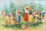 Gheorghe Ionescu Sin, Culesul murelor