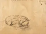 Sorin Ilfoveanu, Tavă de aramă cu pere, 1989, creion pe hârtie