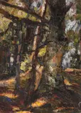 Rudolf Schweitzer–Cumpăna, În inima pădurii