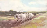 Nicolae Grigorescu, Plugul cu boi