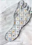 Paul Neagu, Human Foot
