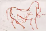 Vasile Gorduz, Cal, ulei pe carton