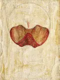 Paul Neagu, Human Tongue, ulei și creion pe pânză lipită pe carton