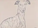 Vladimír Setran, Portret de câine (Ogar), tuș pe hârtie lipită pe carton
