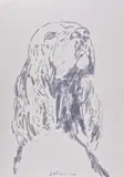 Vladimír Setran, Portret de câine (Cocker Spaniel), 2002, tuș pe hârtie lipită pe carton