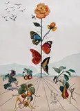 Rosa Papillonaea by Salvador Dalí, cromolitografie, sold May 2019