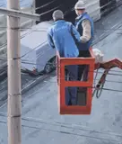 Serban Savu, Electrica