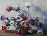 Stefan Popescu, Anemone