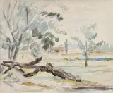 Henri Catargi, Peisaj din Dobrogea