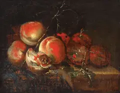 Jan Davidsz. de Heem, Natură statică cu caise, ulei pe pânză