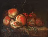 Jan Davidsz. de Heem, Natură statică cu caise, ulei pe pânză