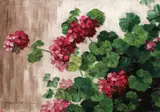 Muşcate by Eugenia Filotti Atanasiu, ulei pe carton, sold Dec 2018