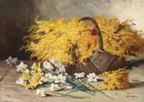 Elena Müller-Stăncescu, Sânziene și narcise