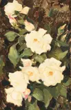 Trandafiri albi by Nicolae Tonitza, ulei pe carton, sold Dec 2018