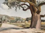 Henri Catargi, Peisaj dobrogean