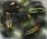 Flying Ma Man (Ma' menul zburător) by Hortensia Mi Kafchin, 2015, ulei pe pânză, offered Nov 2018