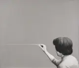 Mircea Suciu, Perfection
